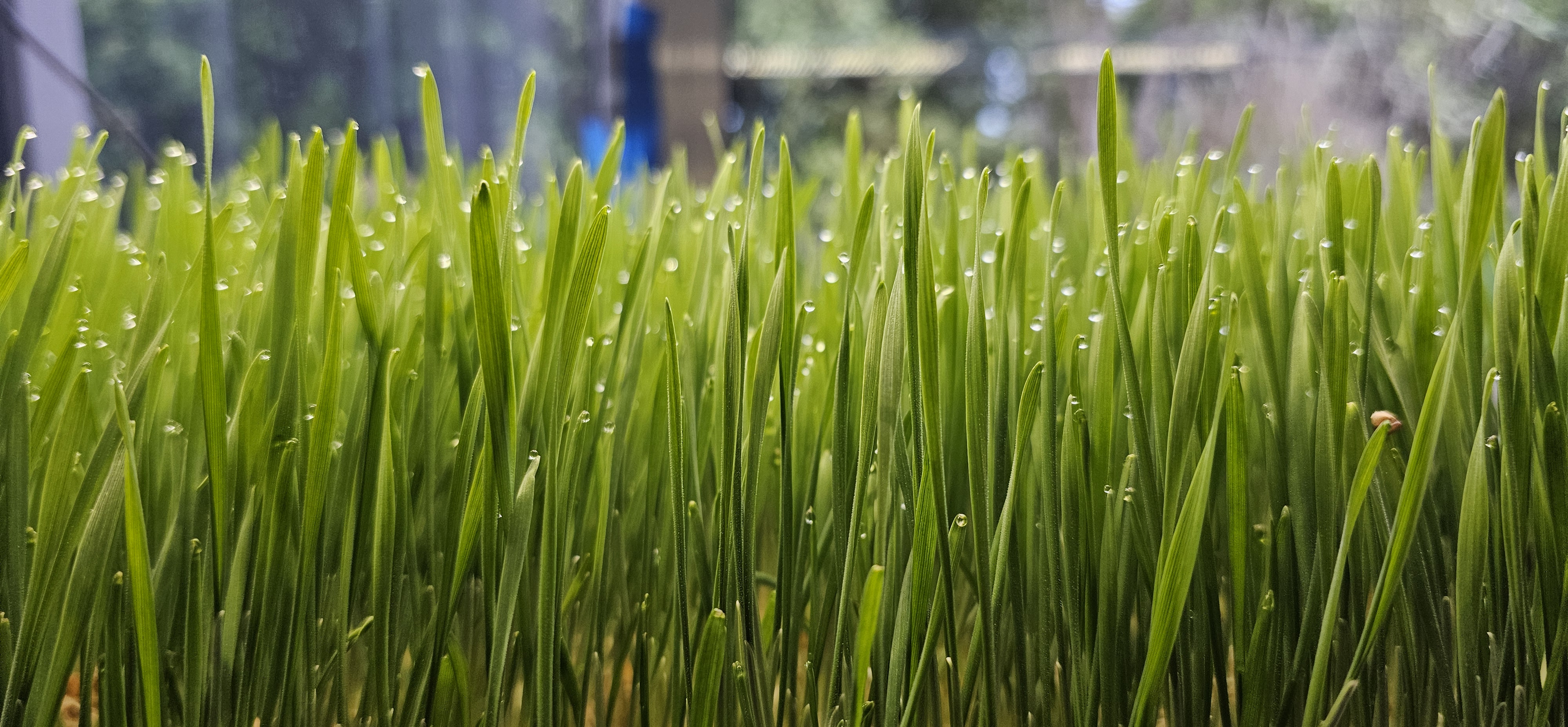 Product image placeholder